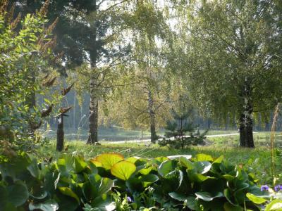 Парк-отель Берендеевка - 7