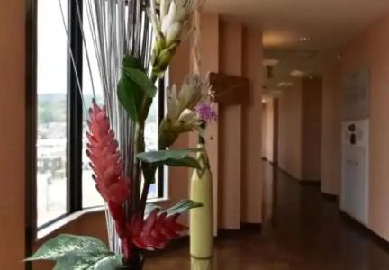 Luna Coast (Adult Only) - 8