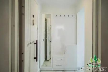 Forest Park Avsallar - 41