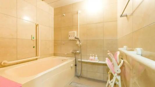 Toyoko Inn Hokkaido Tomakomai Ekimae - 41