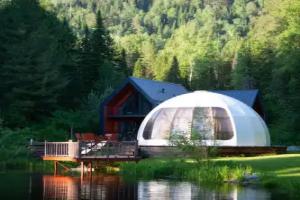 Shale Altay Forest Glamp