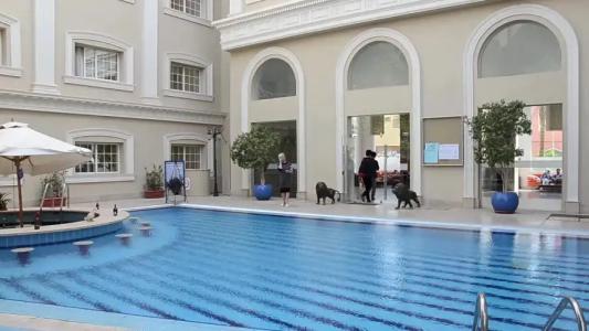 Elysees Dream Beach - 13