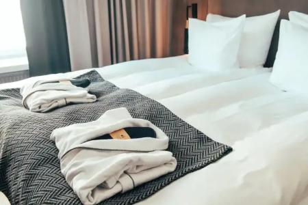 Clarion Mestari - 69