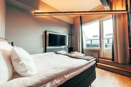 Clarion Mestari - 50