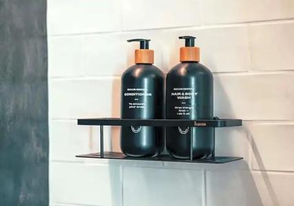 Clarion Mestari - 45