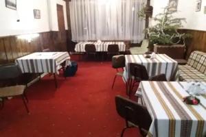 "Sonechko" Pansionat, Tatariv