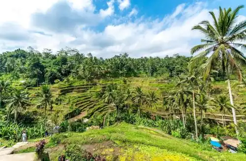 The Kanjeng Resort Ubud - 6
