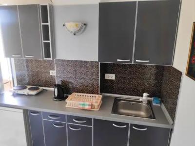 Apartmani Luka - Vila Brzulović - 63