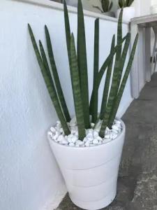 Elena Studios & Suites - 44