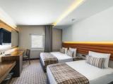 Standard room with mountain view