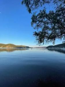 Marimare Beach & Bungalow Mini-hotel - 59