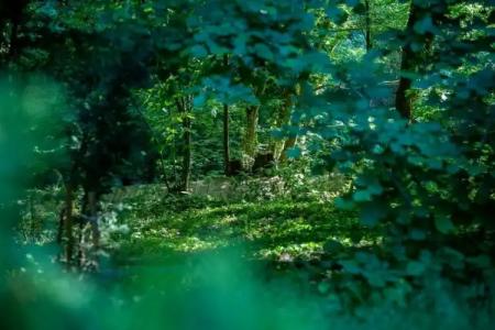 The Canyon Kartepe and Restoran - 7