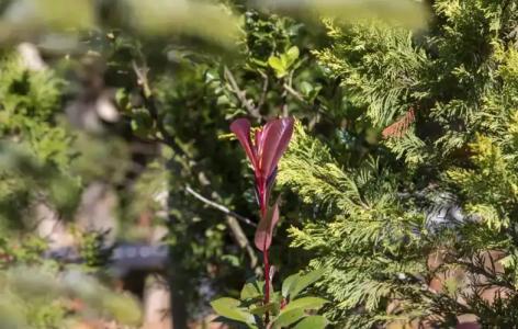 The Canyon Kartepe and Restoran - 38