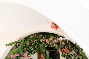 Memento Perissa, Perissa