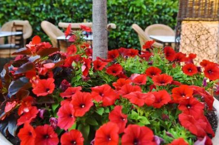 Armata Boutique - 14