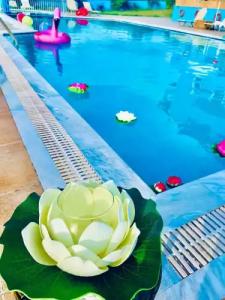 Ninfa Garden - Studios & Apartments - 5