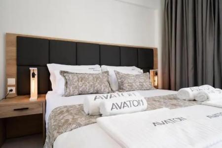 Avaton Luxury Resort And Spa Access The Enigma - 56