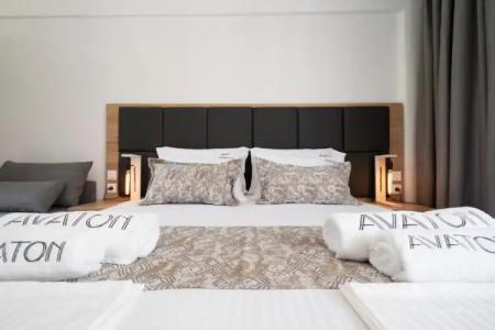 Avaton Luxury Resort And Spa Access The Enigma - 112