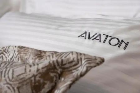 Avaton Luxury Resort And Spa Access The Enigma - 50