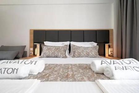 Avaton Luxury Resort And Spa Access The Enigma - 102