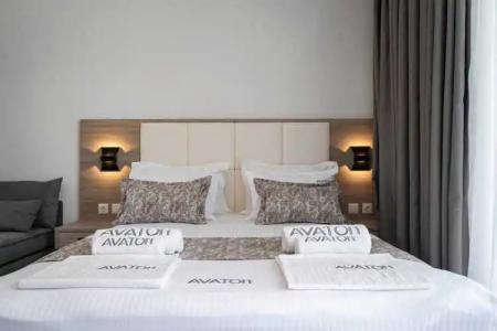 Avaton Luxury Resort And Spa Access The Enigma - 72
