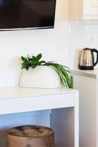 Pinelopi Beach Suites - 19