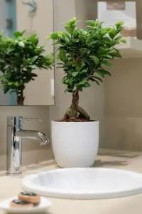 Casa Di Fiori Andros Suites - 94