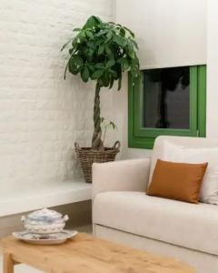 Casa Di Fiori Andros Suites - 144