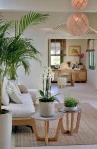 Casa Di Fiori Andros Suites - 102