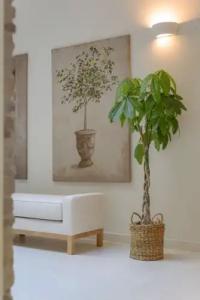 Casa Di Fiori Andros Suites - 98