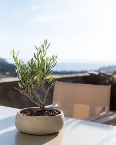 Casa Di Fiori Andros Suites - 147