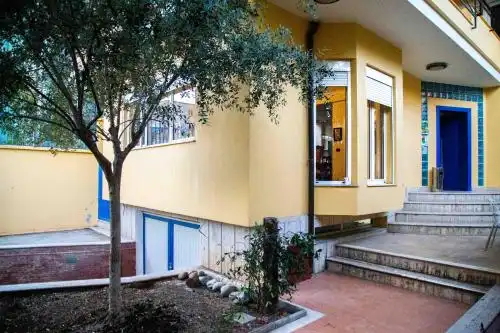 Hostel Niku - 34