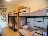 Bunk Bed in Mixed Dormitory Room
