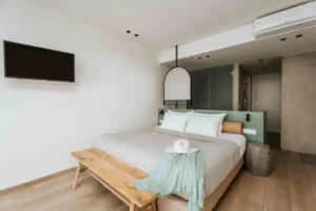 Paralos The Maxine - Adults Only - 36