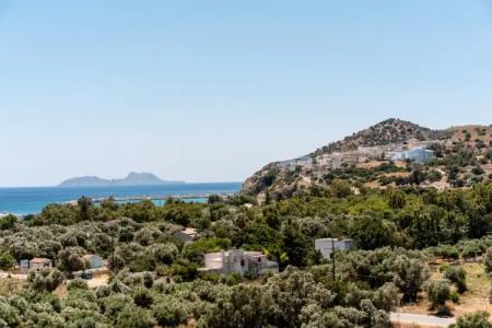 Paralos The Maxine - Adults Only - 15