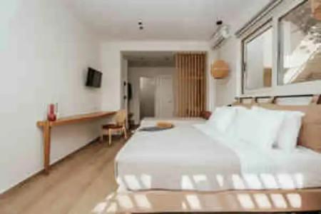 Paralos The Maxine - Adults Only - 38