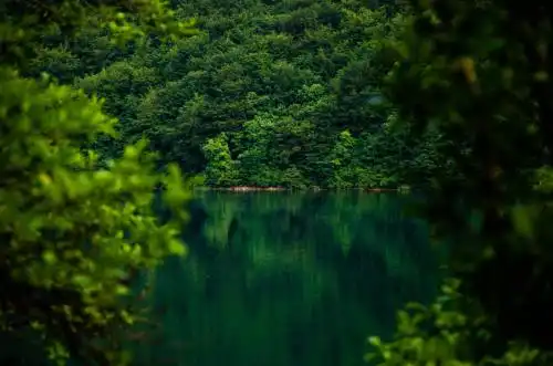 Piva Lake Glamping - 1