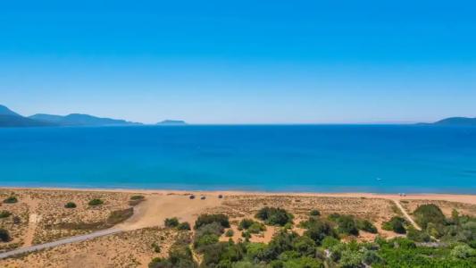 Paradise Resort - 25