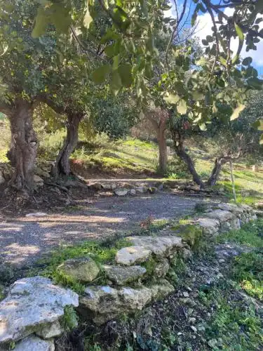 Aphrodite Family Eco Camping - 9