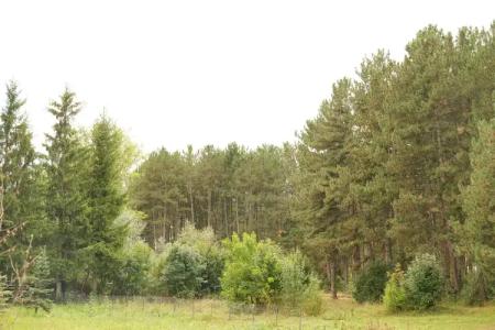 EcoLife Lodge & Restaurant - 11