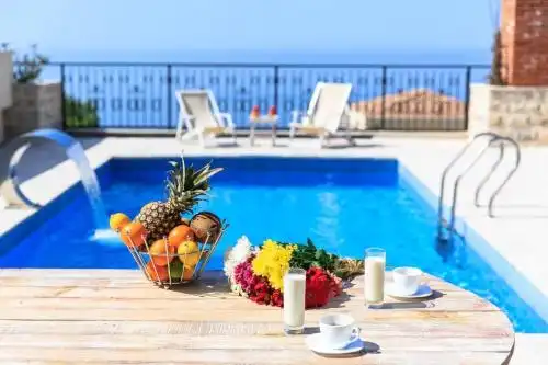 Sunny Villa Orchid - 1