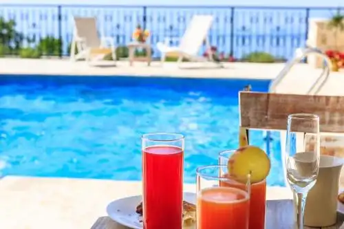 Sunny Villa Orchid - 2