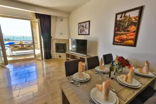 Sunny Villa Orchid - 12