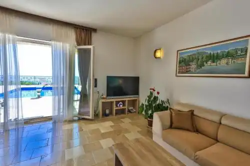 Sunny Villa Orchid - 18