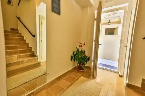 Sunny Villa Orchid - 21