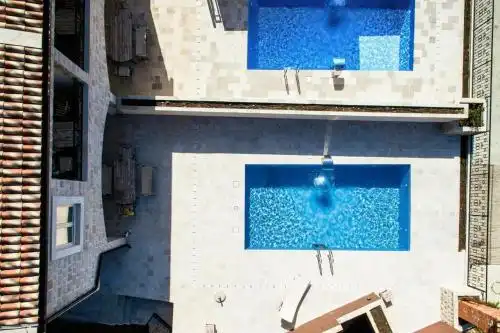 Sunny Villa Orchid - 31