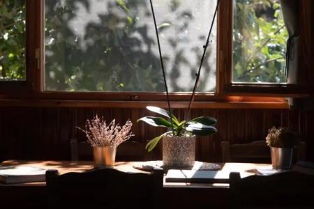 Orias guesthouse & farm - 4