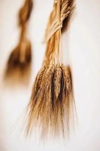 Orias guesthouse & farm - 25