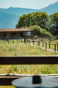 Orias guesthouse & farm - 64