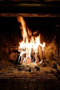 Orias guesthouse & farm - 54